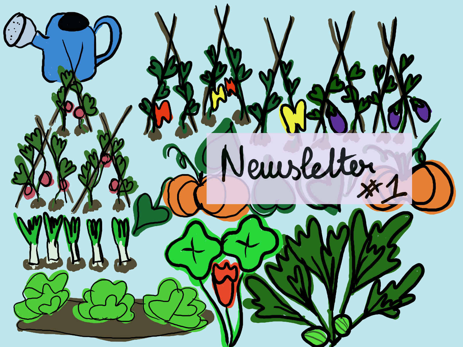 Photo Newsletter #1 