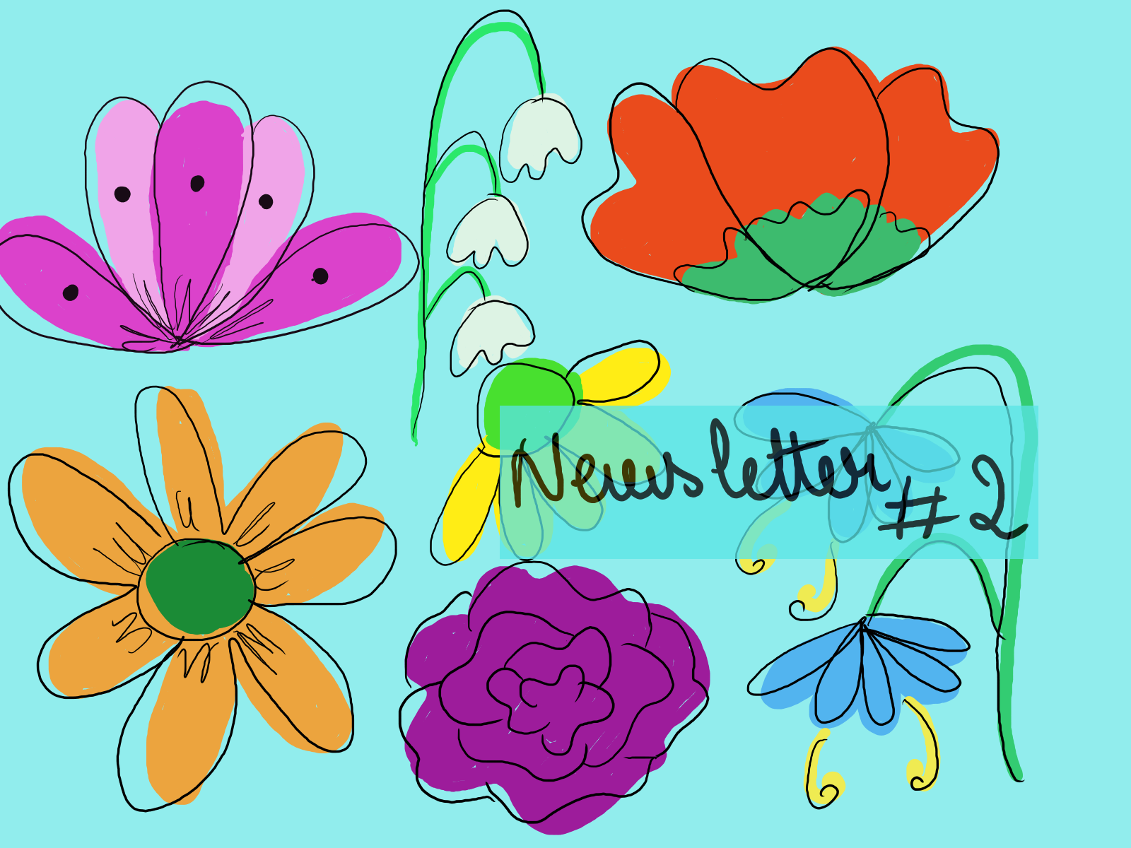 Photo Newsletter #1 